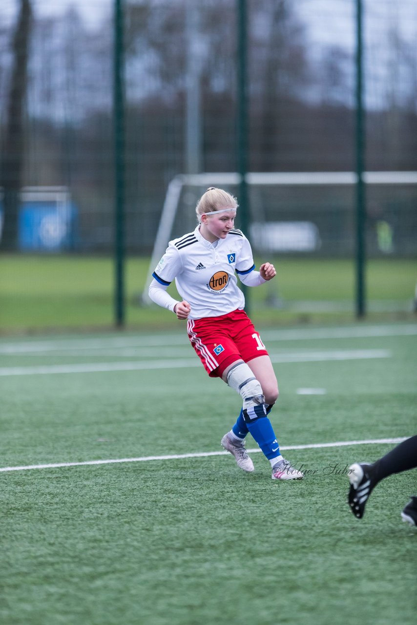 Bild 147 - wBJ HSV - F VfL Jesteburg : Ergebnis: 6:1